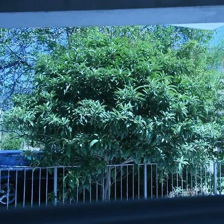 Nespula * Kaštela